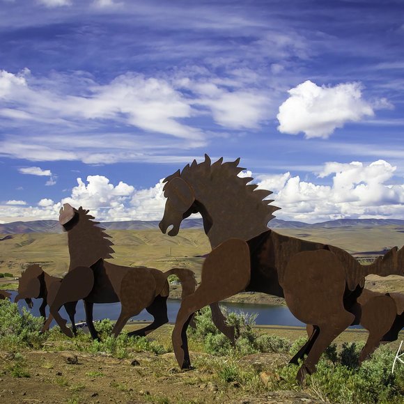 Wild Horse Monument, WA