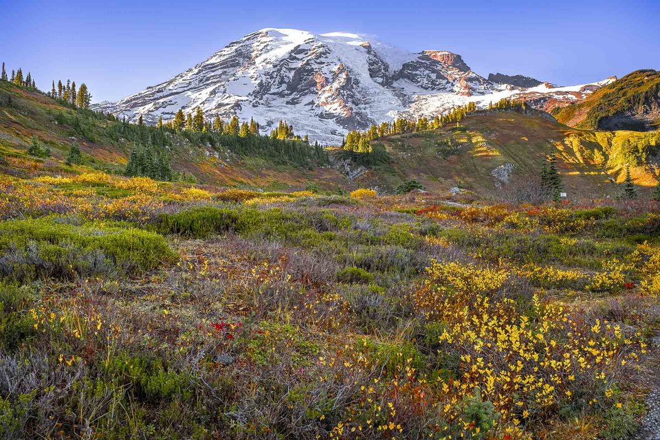 Mt Rainier, WA