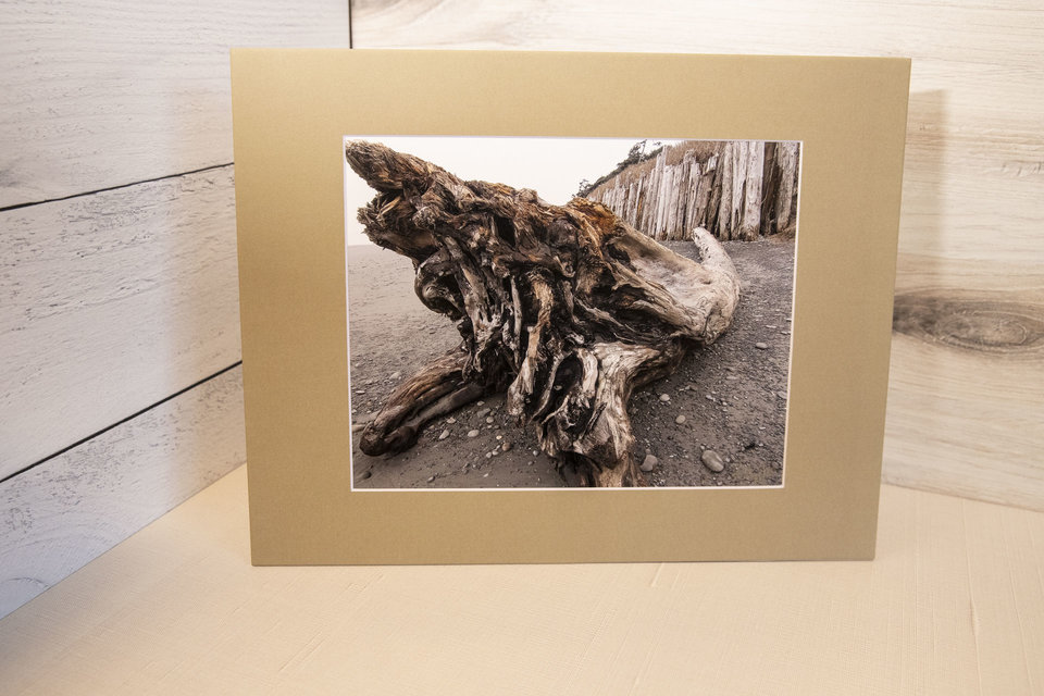 Driftwood at Kalaloch Beach, WA