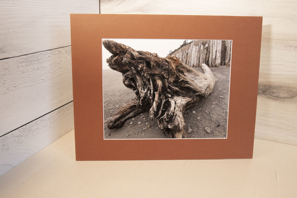 Driftwood at Kalaloch Beach, WA