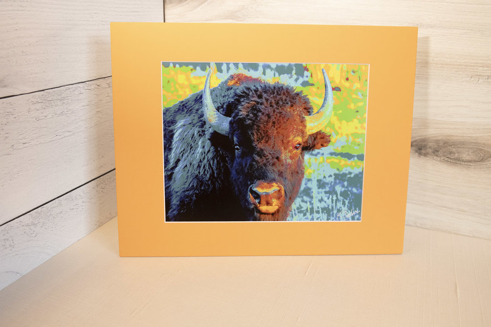 American Bison ("Here's lookin' at you, kid"), Wyoming