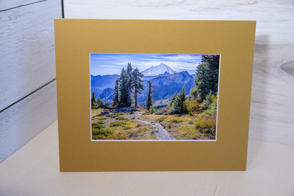 Mt. Baker from Artist Point, WA