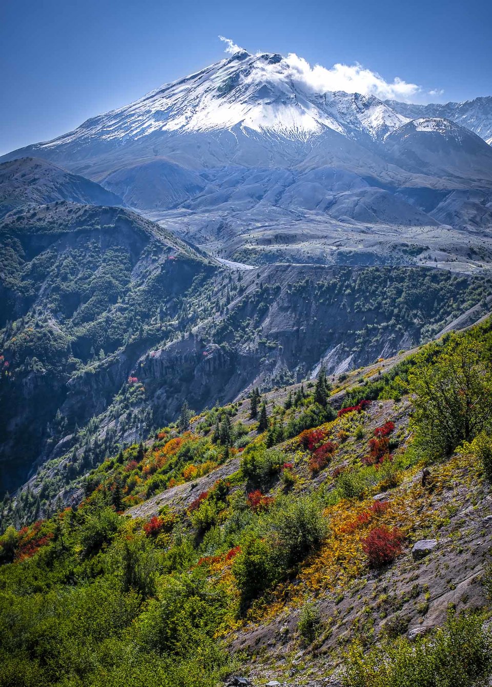 Mount St. Helens from Windy Ridge, WA