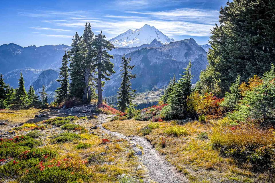 Mt. Baker from Artist Point, WA